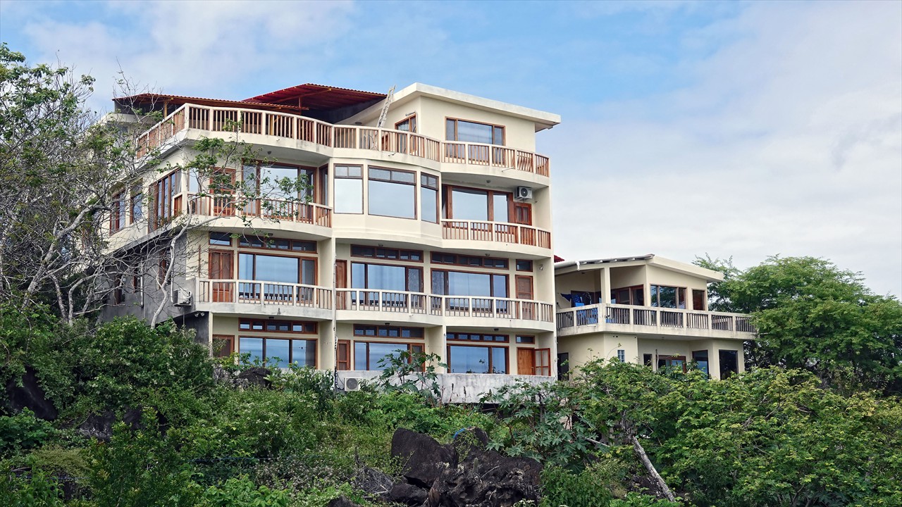 View From Shore