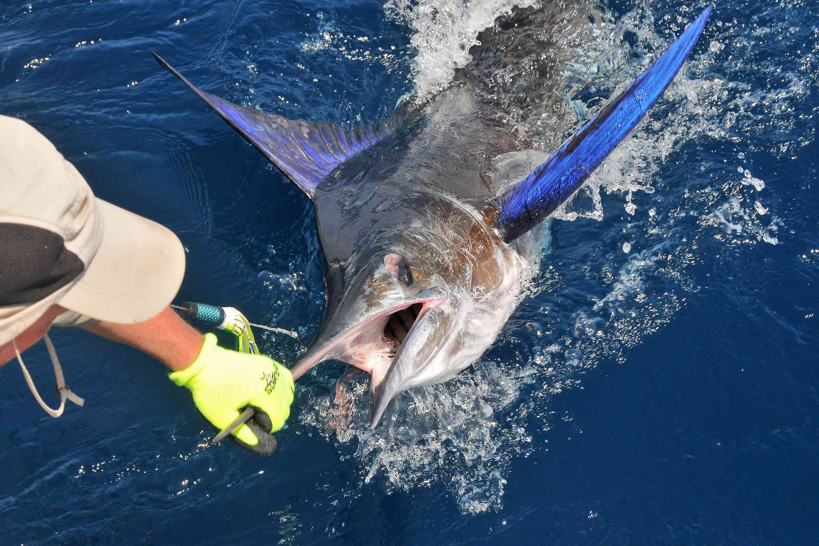 la pesca submarina del marlin 