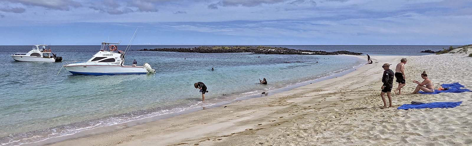 Beach Scene